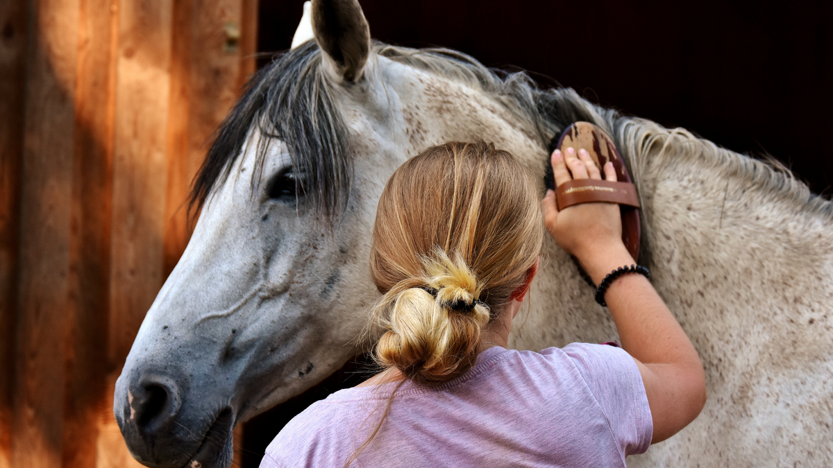 Puedo perder la virginidad si monto a caballo? / Montar a caballo - My  Riding Underwear